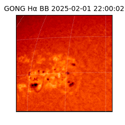 gong - 2025-02-01T22:00:02