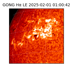 gong - 2025-02-01T01:00:42