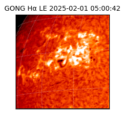 gong - 2025-02-01T05:00:42