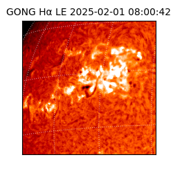 gong - 2025-02-01T08:00:42