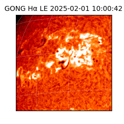 gong - 2025-02-01T10:00:42