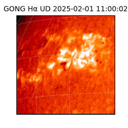 gong - 2025-02-01T11:00:02