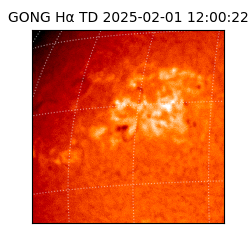 gong - 2025-02-01T12:00:22