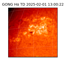 gong - 2025-02-01T13:00:22