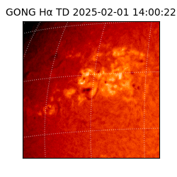 gong - 2025-02-01T14:00:22