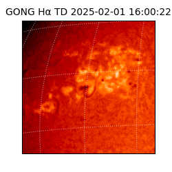 gong - 2025-02-01T16:00:22