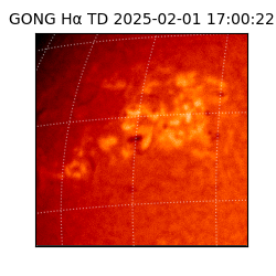 gong - 2025-02-01T17:00:22