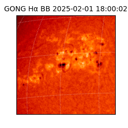 gong - 2025-02-01T18:00:02