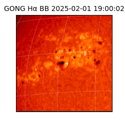 gong - 2025-02-01T19:00:02