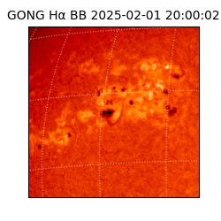 gong - 2025-02-01T20:00:02