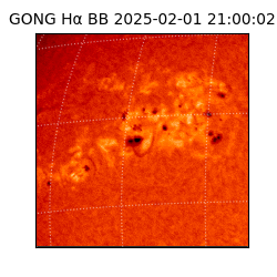 gong - 2025-02-01T21:00:02