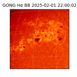 gong - 2025-02-01T22:00:02