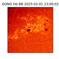 gong - 2025-02-01T23:00:02