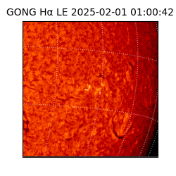 gong - 2025-02-01T01:00:42
