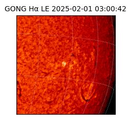 gong - 2025-02-01T03:00:42