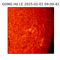 gong - 2025-02-01T04:00:42