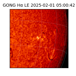 gong - 2025-02-01T05:00:42