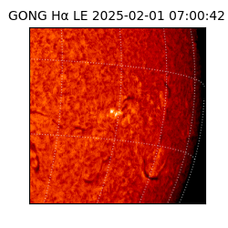 gong - 2025-02-01T07:00:42