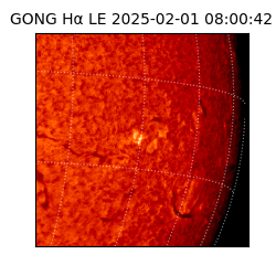 gong - 2025-02-01T08:00:42