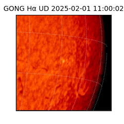 gong - 2025-02-01T11:00:02