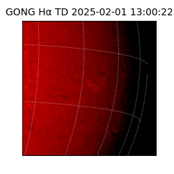 gong - 2025-02-01T13:00:22