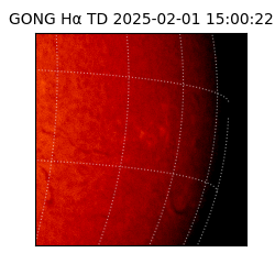 gong - 2025-02-01T15:00:22