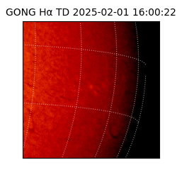 gong - 2025-02-01T16:00:22