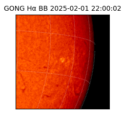 gong - 2025-02-01T22:00:02
