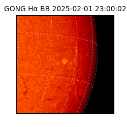 gong - 2025-02-01T23:00:02