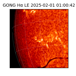 gong - 2025-02-01T01:00:42