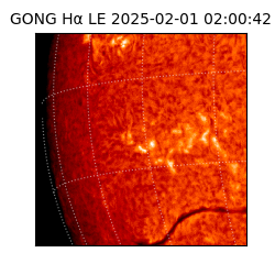 gong - 2025-02-01T02:00:42