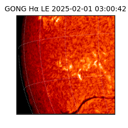 gong - 2025-02-01T03:00:42