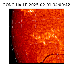 gong - 2025-02-01T04:00:42