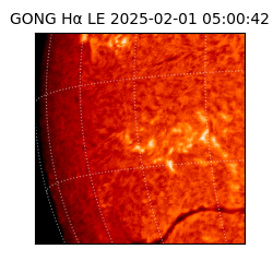 gong - 2025-02-01T05:00:42