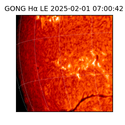 gong - 2025-02-01T07:00:42