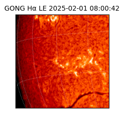 gong - 2025-02-01T08:00:42