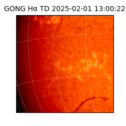 gong - 2025-02-01T13:00:22