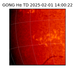 gong - 2025-02-01T14:00:22