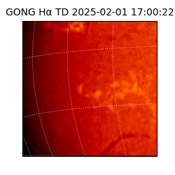 gong - 2025-02-01T17:00:22