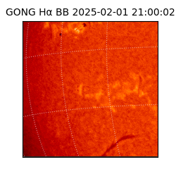 gong - 2025-02-01T21:00:02