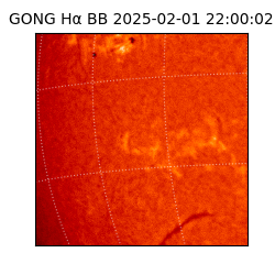 gong - 2025-02-01T22:00:02