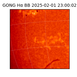 gong - 2025-02-01T23:00:02