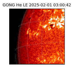 gong - 2025-02-01T03:00:42