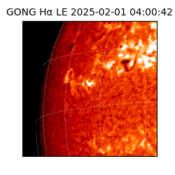 gong - 2025-02-01T04:00:42