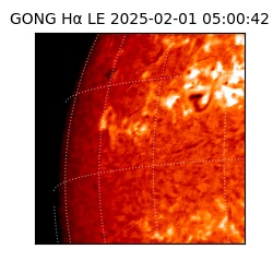 gong - 2025-02-01T05:00:42