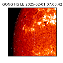 gong - 2025-02-01T07:00:42