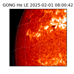 gong - 2025-02-01T08:00:42