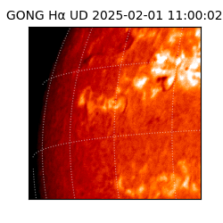 gong - 2025-02-01T11:00:02