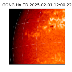 gong - 2025-02-01T12:00:22