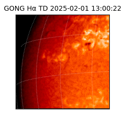 gong - 2025-02-01T13:00:22